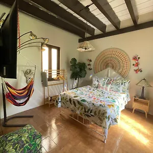 The Garden Apartment, The Willow Apartment, & The Tropical At Casa Of Essence In Old Apartment San Juan
